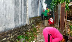 IMG_ORG_1733742615941