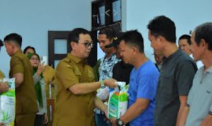 Oplus_16908288