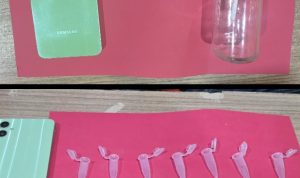 IMG_20260606_103646